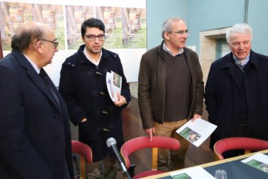 Guarda: Diocese promoveu jornada do clero dedicada à Bíblia