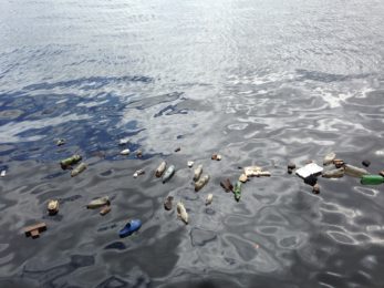 Água: Vaticano desafia paróquias a abandonar garrafas de plástico e a investir em sistemas amigos do ambiente
