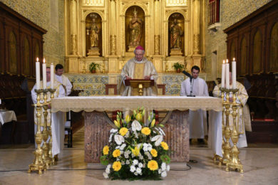 Páscoa 2020: «Em tempo de profunda perturbação» convida «a testemunhar e a partilhar» - Bispo do Algarve