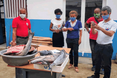 Covid-19: OIKOS distribui peixe a famílias vulneráveis em São Tomé e Príncipe