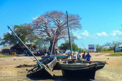 Moçambique: Instituição da Arquidiocese de Braga junta-se à campanha «Juntos por Cabo Delgado»