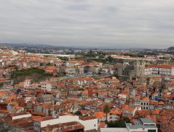 Porto: D. Manuel Linda saúda nomeação de dois bispos auxiliares para «edificação de uma Igreja em saída»