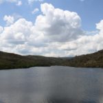 Igreja/Ambiente: Movimento Laudato Si publicou guião para o «Tempo da Criação»