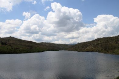 Igreja/Ambiente: Movimento Laudato Si publicou guião para o «Tempo da Criação»