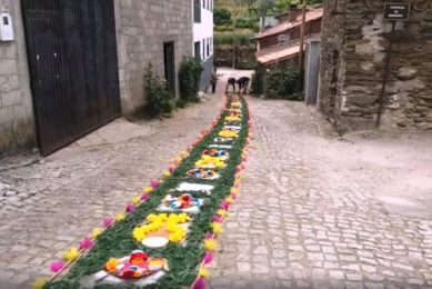 Bragança-Miranda: Bispo presidiu à solenidade do Corpo de Deus na «aldeia eucarística» de Pereira, com procissão e tapete de flores(c/vídeo)