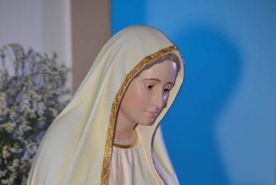 Évora: Secretariado do Movimento da Mensagem de Fátima apresentou imagem «Senhora do Coração Orante»