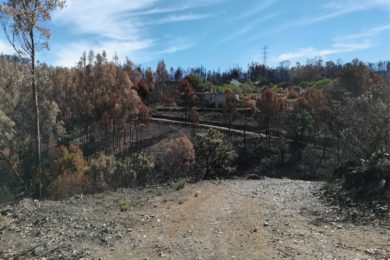 Verão: Equipas de Apoio de Retaguarda dos escuteiros ajudam na luta contra incêndios florestais em Portugal