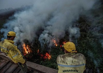 Vaticano: Papa lamenta incêndios na Califórnia e Pantanal