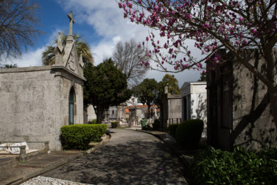 Fiéis Defuntos: Bispos portugueses apelam à responsabilidade na «romagem» aos cemitérios