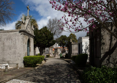 Fiéis Defuntos: Bispos pedem às autoridades que evitem encerramento de cemitérios (c/vídeo)