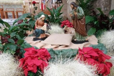 Natal: 70 «cabeleiras» ornamentam presépio e altares da igreja São Pedro de Faro