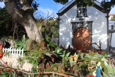 Natal: Bispo do Funchal convida à «contemplação do Menino no Presépio» (c/vídeo)