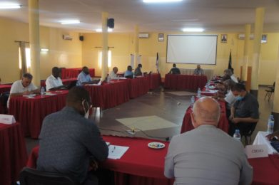 Moçambique: Conferência Episcopal denuncia «aumento de atos de guerra, violência, destruição e morte»