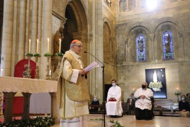 Lisboa: Cardeal-patriarca aponta a mundo «mais fraterno, solidário e inclusivo» no pós-pandemia