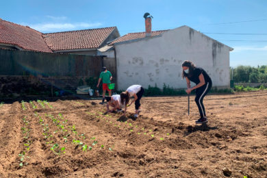 Dia da Terra: Jovens crismandos na Diocese de Aveiro cuidam de horta solidária para «cuidar dos outros» (c/fotos)