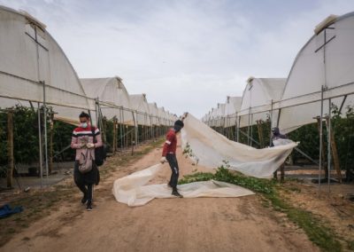 Portugal: Organizações católicas pedem ao Governo «soluções» para situação de trabalhadores agrícolas imigrantes