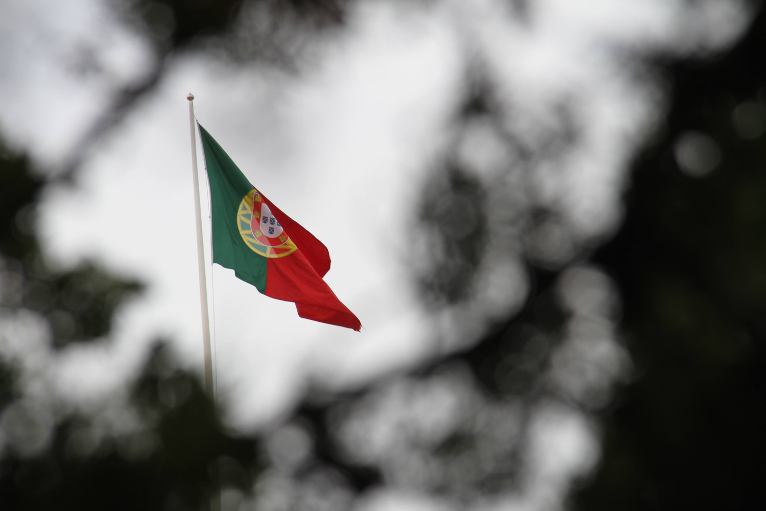 Portugal: Catholic missions in the diaspora express concern over the "spread of hate speech"