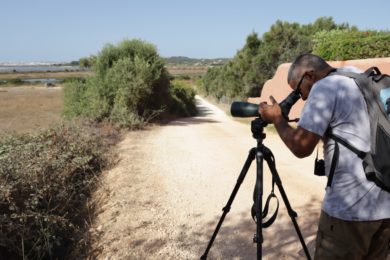 Observação de aves é a proposta da diocese do Algarve - Emissão 17-08-2021