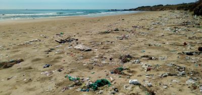 Vaticano: Papa associa-se a celebração do «domingo do mar» e alerta para impacto dos plásticos nos oceanos