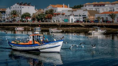 Igreja: Pastoral do Turismo de Portugal incentiva à criação de serviço ligado ao setor, na estrutura do Vaticano