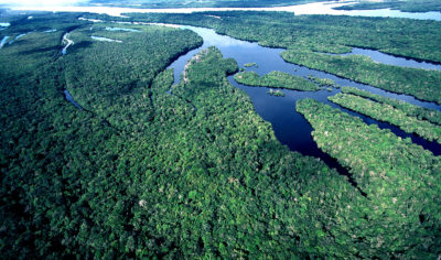 Amazónia: Leão XIV denunciou «situações de abuso e exploração» do ambiente natural