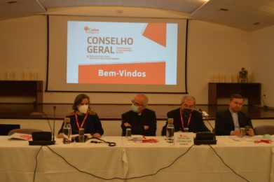 Igreja/Sociedade: Cáritas Portuguesa reuniu-se em Conselho Geral