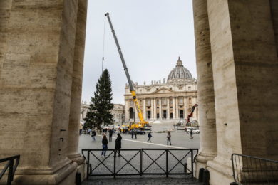 Vaticano: Papa convida a preparar Natal com ajuda dos «símbolos» do Advento