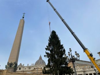 Natal: Presépios do Vaticano assinalam 800 anos da natividade criada por São Francisco de Assis