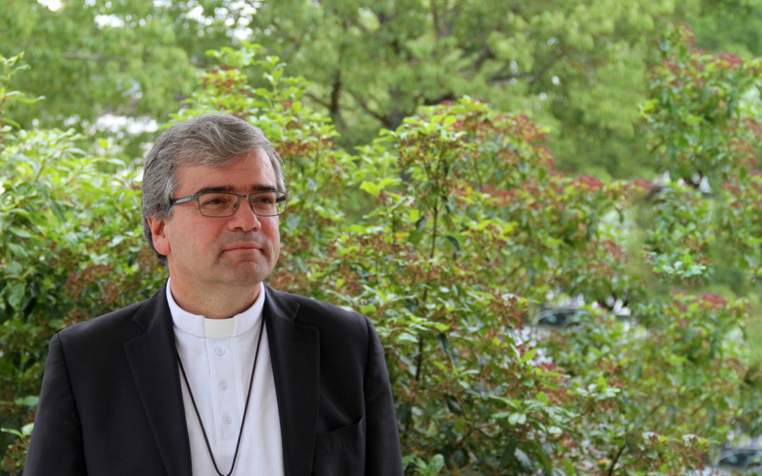 Igreja/Portugal: D. José Cordeiro é o novo arcebispo de Braga