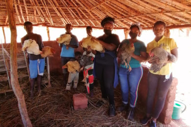 Vida Consagrada: Missão em Moçambique, entre educação e galinhas poedeiras - Emissão 02-02-2022