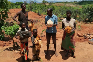 Vida Consagrada: Missionário em Moçambique vive «entre a educação e as galinhas poedeiras»