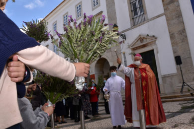 Algarve: «Queremos ser construtores da paz», afirmou bispo diocesano na celebração do Domingo de Ramos