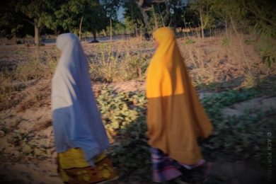 Moçambique: «Há muitas crianças e mulheres raptadas» pelos terroristas, denuncia missionário em Cabo Delgado