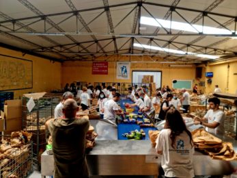 Portugal: Bancos Alimentares contra a Fome recolheram 1695 toneladas de alimentos