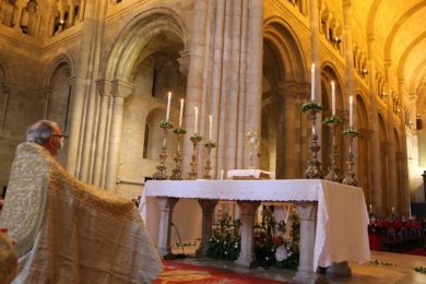 Lisboa: Cardeal-patriarca pede «respeito legal e apoio ao concreto à vida mais frágil»