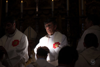 Igreja: Comunidades convidadas a rezar pelos sacerdotes