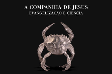 Coimbra: Museu Machado Castro acolhe exposição «A Companhia de Jesus. Evangelização e Ciência»