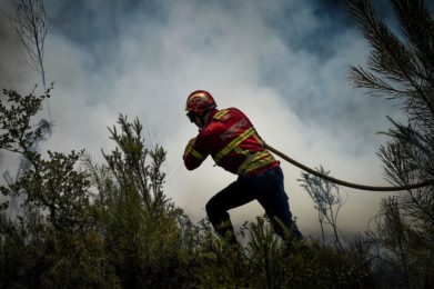 Incêndios: Confederação Portuguesa do Voluntariado pede reforço de meios e apoio psicológico para bombeiros e familiares