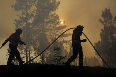 Incêndios: «Que a morte destes heróis não nos divida mas nos torne mais fortes» - D. Américo Aguiar