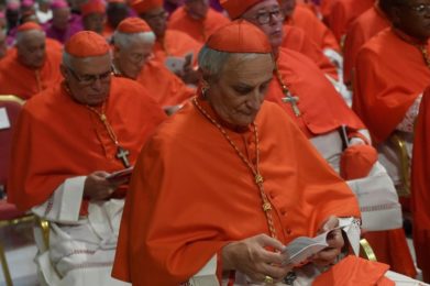 Vaticano: Origens e história do Colégio Cardinalício