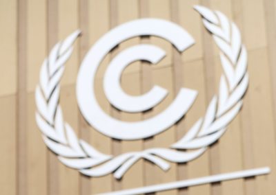 COP27: «Portugal está limitado na influência mas tem feito caminho» - Plataforma Portuguesa das ONGD