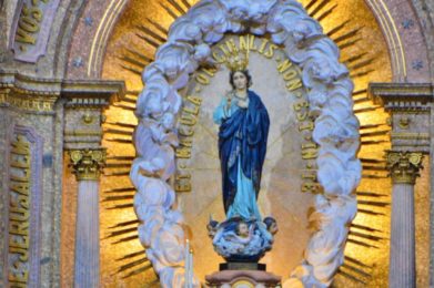 Imaculada Conceição: «Viver com perguntas é próprio da fé» - D. José Cordeiro