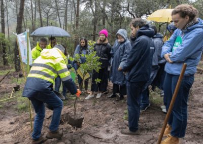 Lisboa 2023: Autarquia de Loures plantou árvores para reduzir pegada carbónica da JMJ