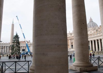 Natal: Vaticano inaugura presépio e árvore, na Praça de São Pedro