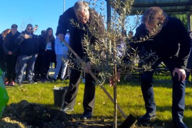JMJ 2023: Bispo e jovens do Porto plantaram 150 árvores autóctones