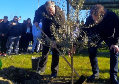 JMJ 2023: Bispo e jovens do Porto plantaram 150 árvores autóctones