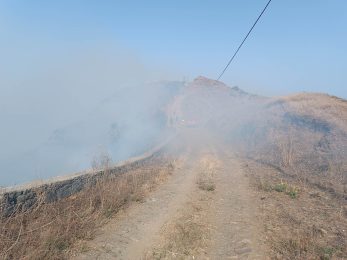 Cabo Verde: Cardeal associa-se a luto nacional pela morte de nove pessoas, em incêndio florestal