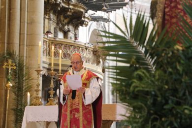Lisboa: D. Manuel Clemente desafia católicos a «testemunhar e oferecer a Cruz»