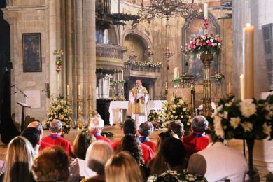 Lisboa: Cardeal-patriarca sublinha empenho da Igreja na luta contra abusos sexuais