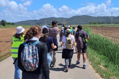 JMJ 2023: Voluntários internacionais peregrinaram a pé até ao Santuário de Fátima